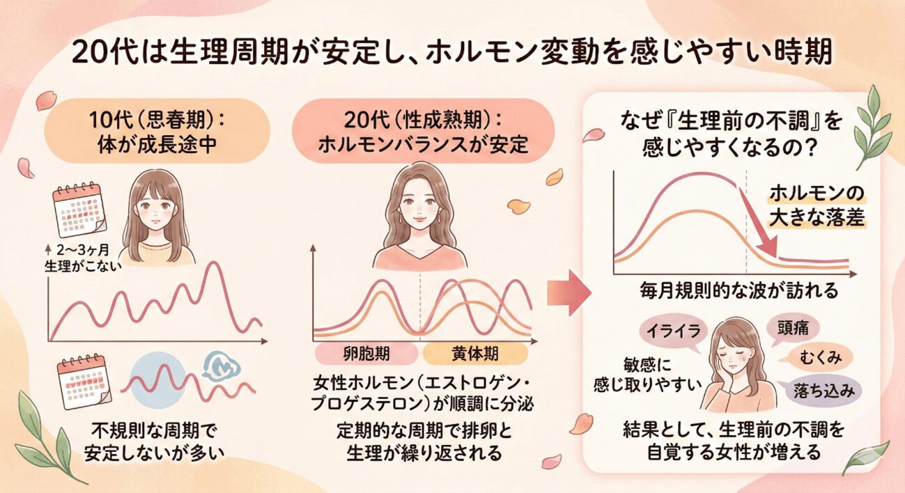 20代は生理周期が安定し、ホルモン変動を感じやすい時期