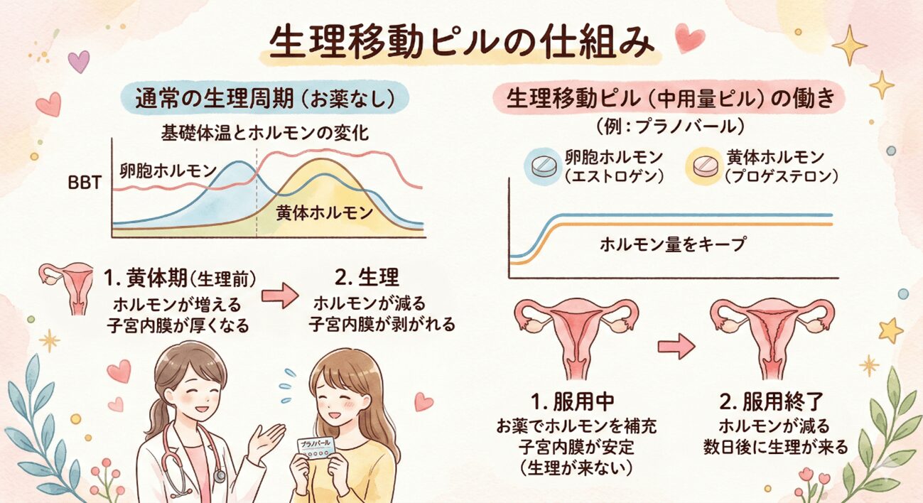 生理移動ピルってどんなもの？基礎知識を解説