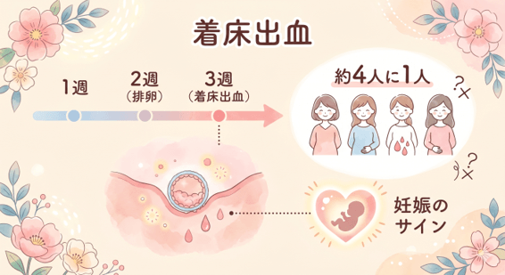着床出血について