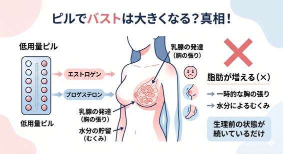 ピルでバストが大きくなる？