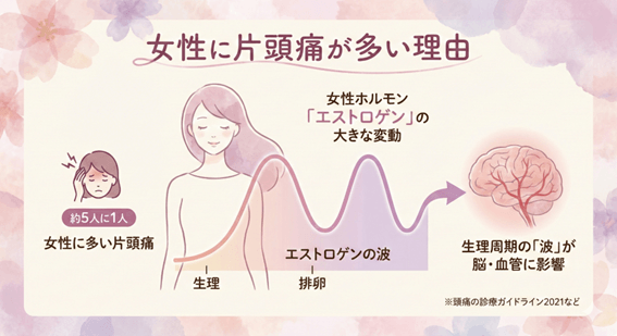 女性に片頭痛が多い理由