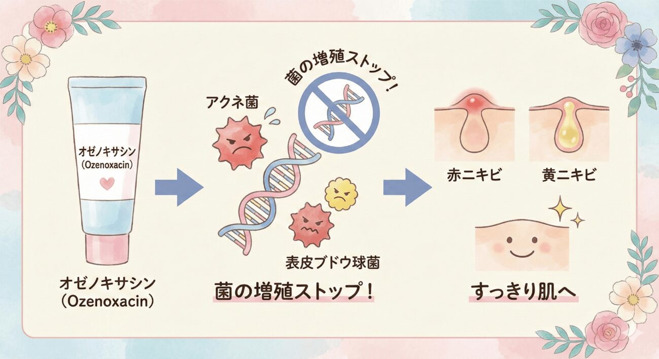オゼノキサシン