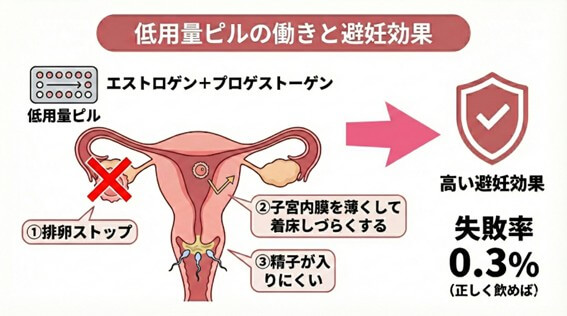 低用量ピルの働きと避妊効果