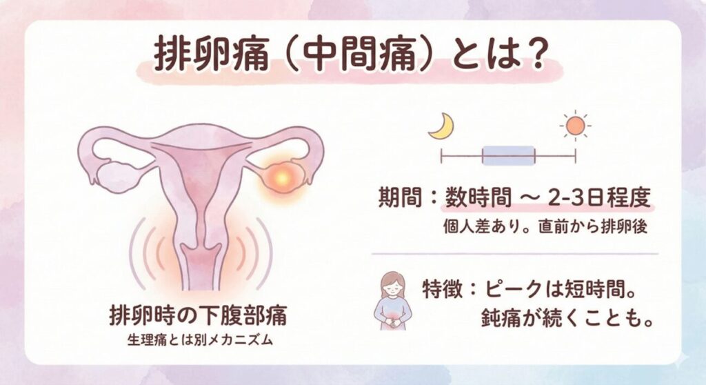 排卵痛（中間痛）とは？