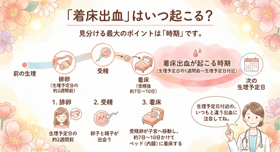 着床出血はいつ起こる？