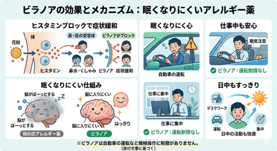 ビラノアの効果とメカニズム