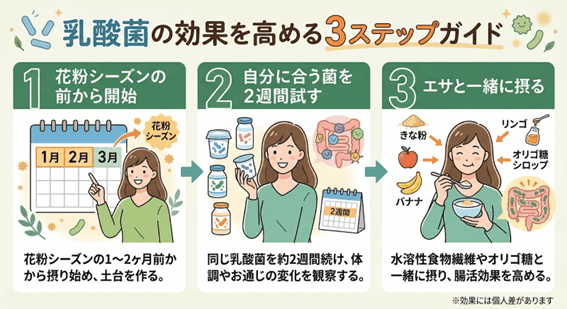 乳酸菌の効果を高める3ステップガイド