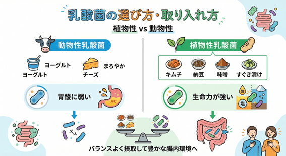 日常生活でできる乳酸菌の取り入れ方と選び方