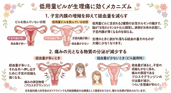 低用量ピルが生理痛に効くメカニズム