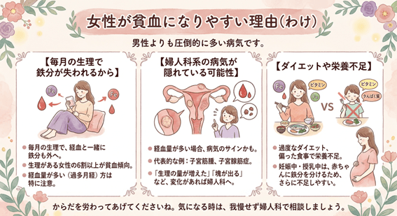 女性が貧血になりやすい訳