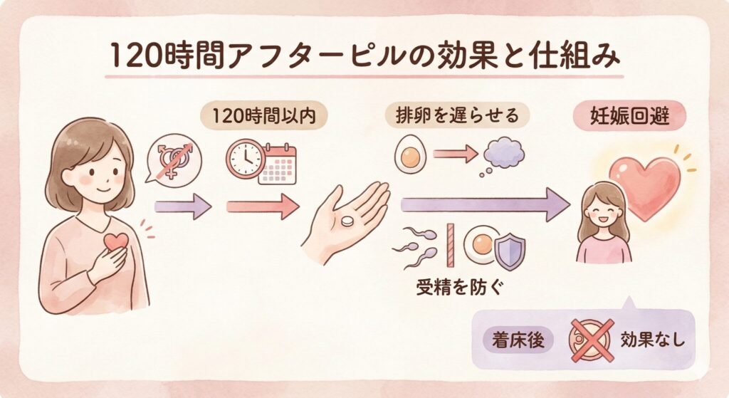 120時間アフターピルの効果と仕組み