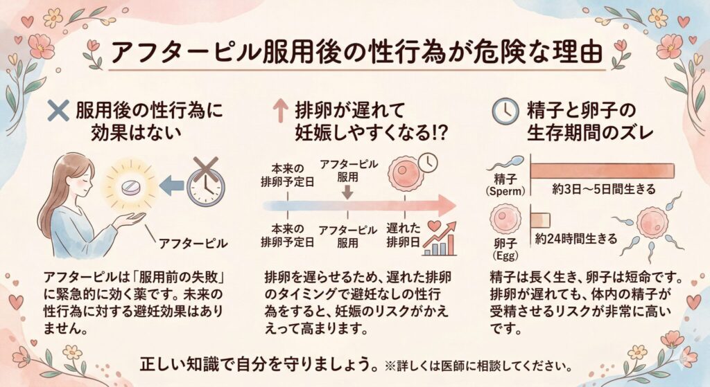 アフターピル服用後の性行為が危険な理由