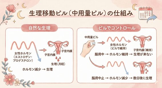 生理移動ピル（中用量ピル）の仕組み