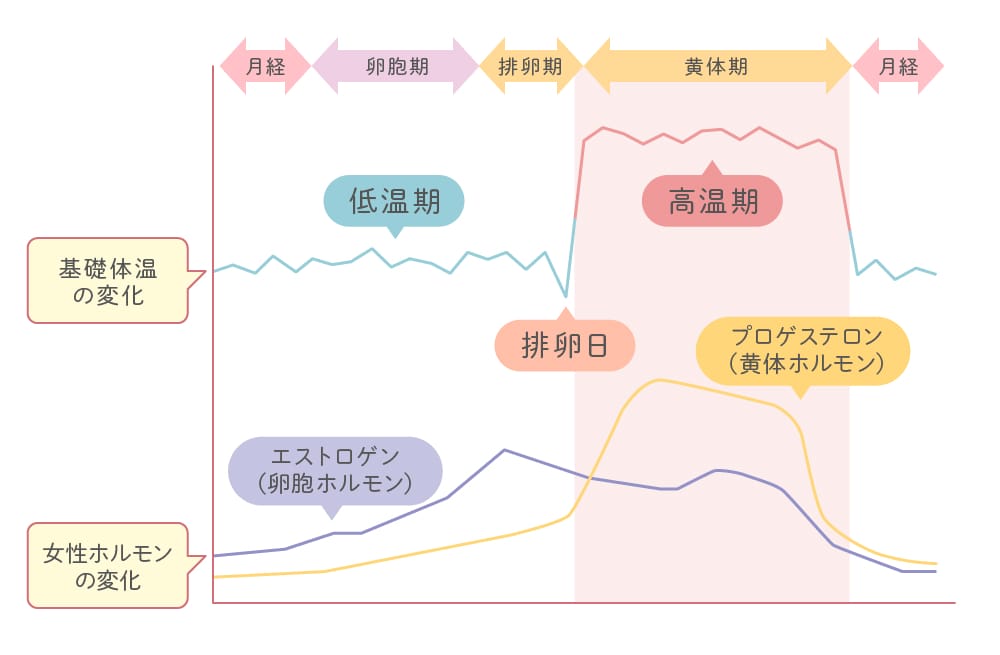 膣内の pH 不均衡の原因は何ですか?